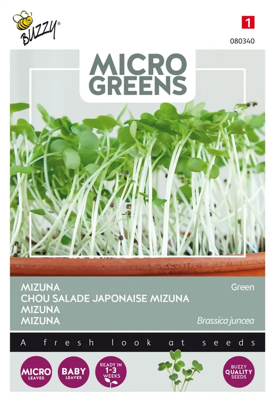 Erg populair | Buzzy® zaden - Microgreens, Mizuna Green