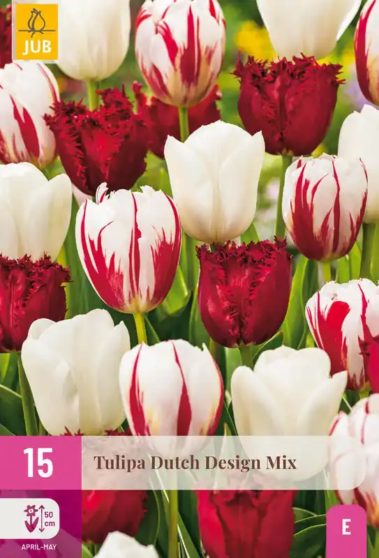 Rechtstreeks van de fabrikant | Tulpenbollen Dutch Design Mix - 15 stuks