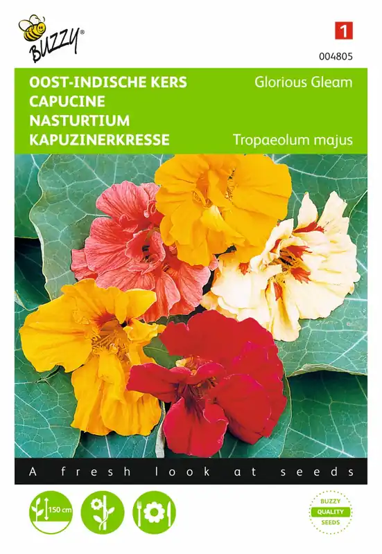 Verlaagde prijs | Buzzy® zaden - Tropaeolum, Oost-Indische kers Glorious Gleam