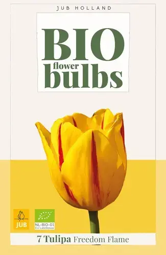 Biologische tulpenbollen ‘Freedom Flame‘ - 7 stuks | Aanrader