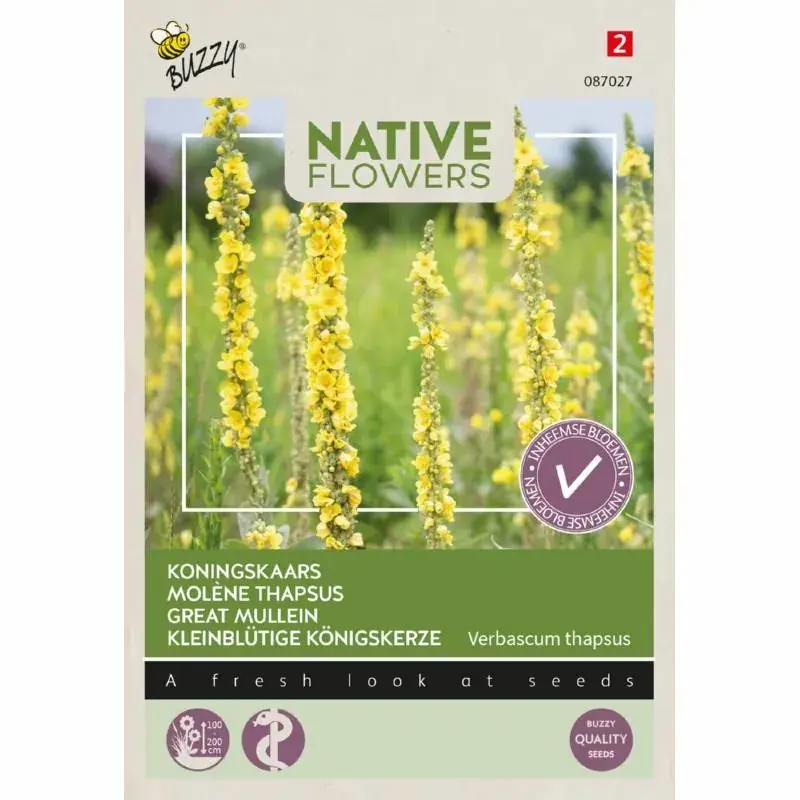 Buzzy® zaden - Native Flowers - Koningskaars | Topprijs