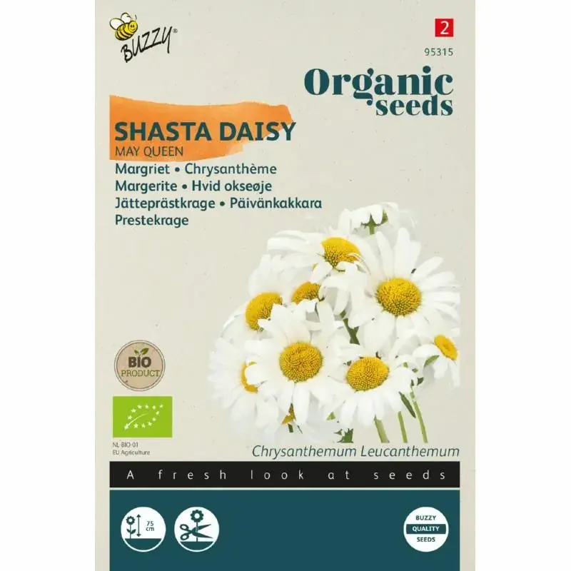 Online bestelbaar - Buzzy® Organic Seeds - Chrysanthemum Margriet May Queen (BIO)