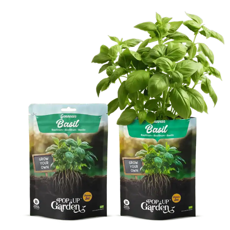 Topprijs - Pop-up Garden Basilicum