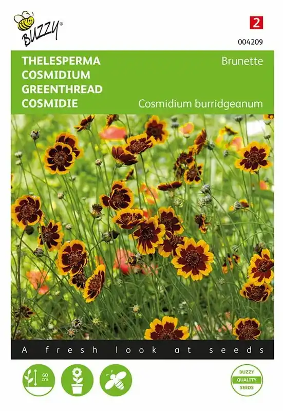 Populair bij klanten | Buzzy® zaden - Cosmidium, Thelesperma Brunette