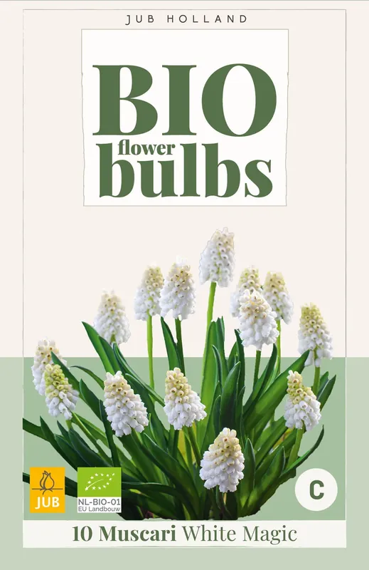 Biologische witte blauwe druifjes ‘White Magic‘ - 10 stuks | Actie loopt bijna af