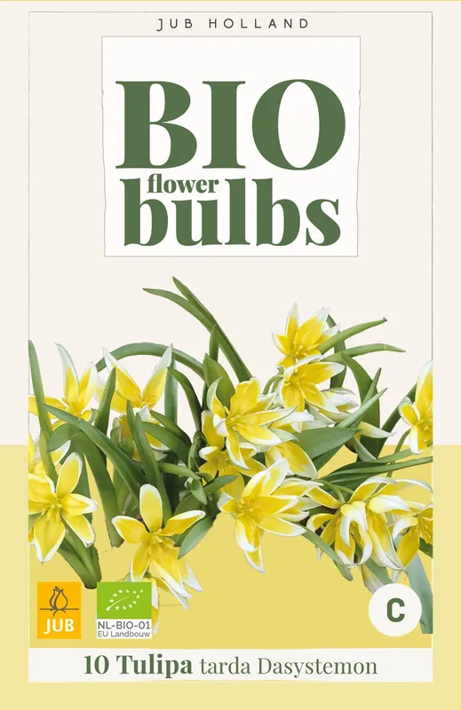 Klantfavoriet | Biologische tulpenbollen ‘Tarda Dasystemon‘ - 7 stuks