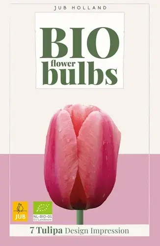 Veilig winkelen - Biologische tulpenbollen ‘Design Impression‘ - 7 stuks