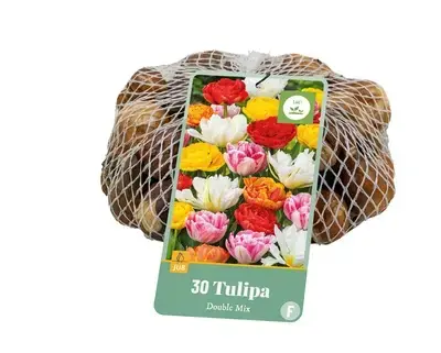 Tulpenbollen Dubbel Mix - 30 stuks - Expreslevering