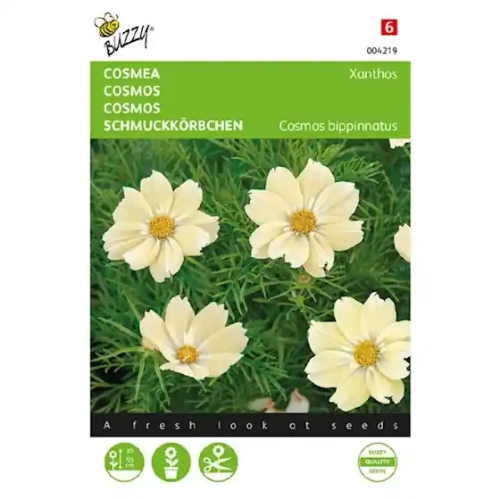 Buzzy® zaden - Cosmos Cosmea Xanthos - Nu kopen