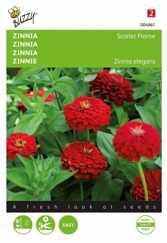 Net binnen - Buzzy® zaden - Zinnia Scarlet Flame