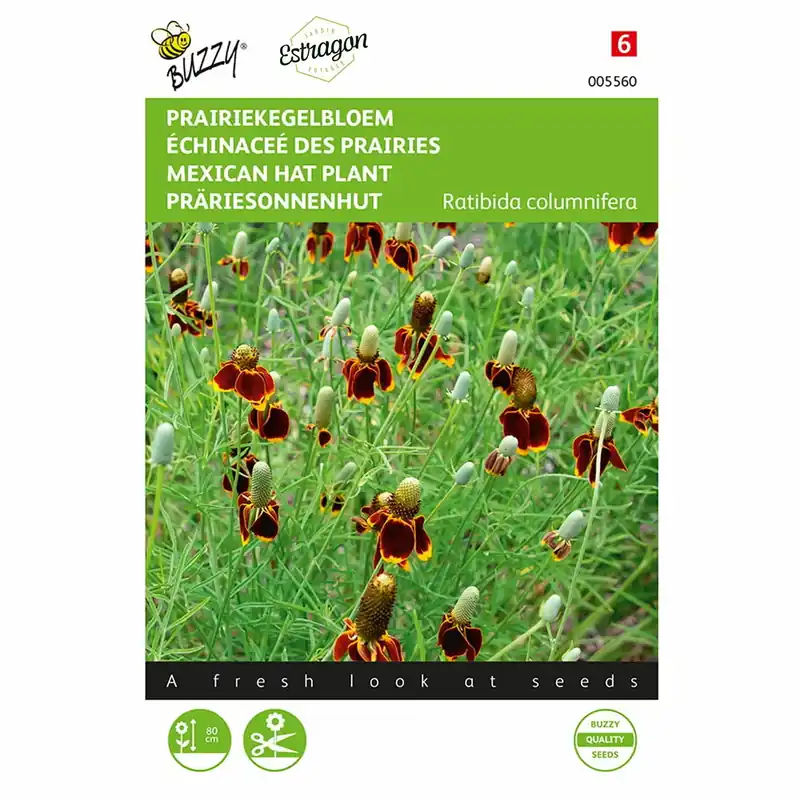 Buzzy® zaden - Prairiekegelbloem | Speciale aanbieding
