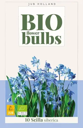 Biologische sterhyacinten (Scilla siberica) - 10 stuks | Veel voordeel