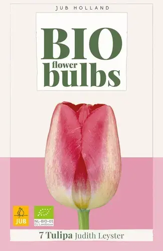 Direct van de fabrikant | Biologische tulpenbollen ‘Judith Leyster‘ - 7 stuks