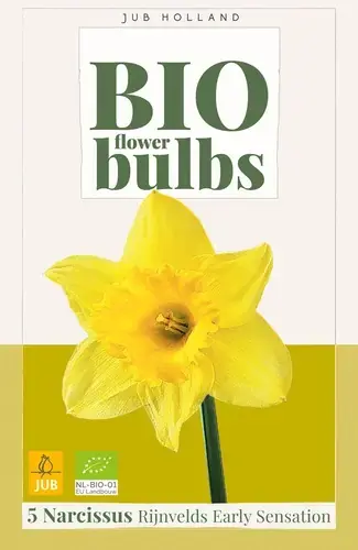 Biologische narcissenbollen ‘Rijnvelds Early Sensation‘ - 5 stuks - Topdeal