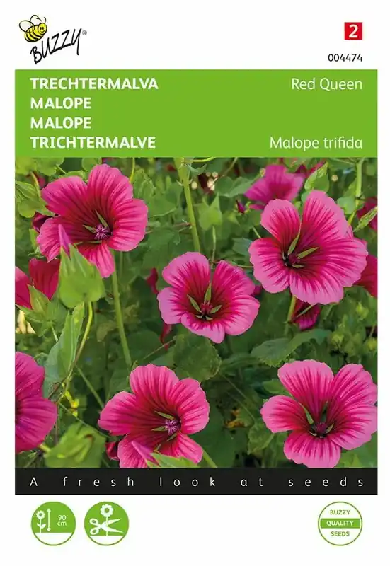 Scherp geprijsd - Buzzy® zaden - Trechtermalva Red Queen