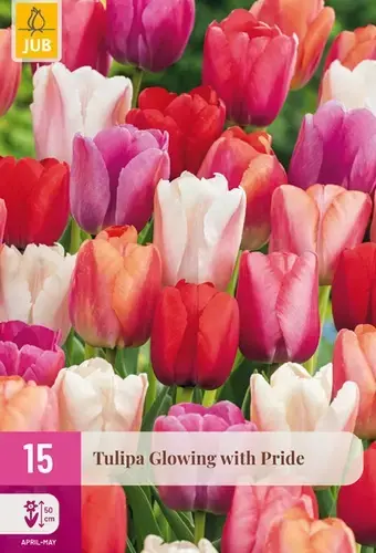 Extra korting - Tulpenbollen Glowing With Pride - 15 stuks