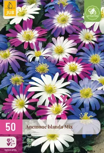 Anemone Blanda Mix - 50 bloembollen - Superprijs