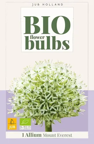 Biologische alliumbol ‘Mount Everest‘ - 1 stuk | Makkelijk bestellen