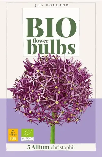 Biologische alliumbollen ‘Christophii‘ - 5 stuks | Dagdeal