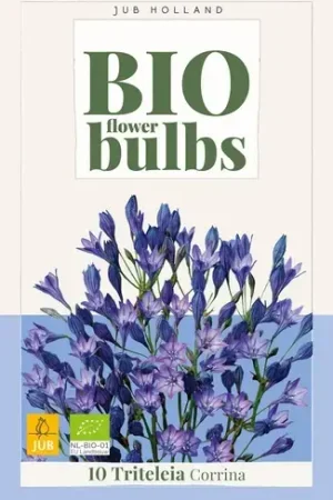Zolang de voorraad strekt - Biologische Triteleia ‘Corrina‘ - 10 stuks