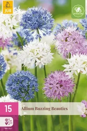 Allium Buzzing Beauties - 15 bloembollen - Speciale aanbieding