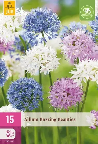 Allium Buzzing Beauties - 15 bloembollen - Speciale aanbieding
