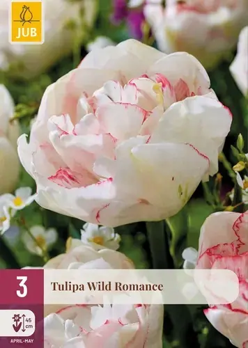 Bestseller - Tulpenbollen Wild Romance - 3 stuks