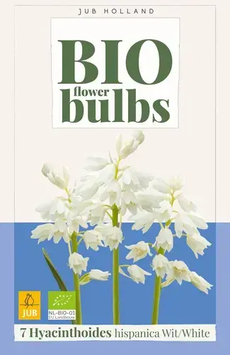 Hoge kwaliteit | Biologische Spaanse boshyacint ‘Wit‘ - 7 stuks