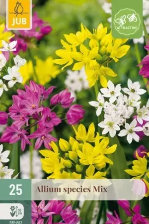 Aanrader | Alliumbollen Species Mix - 25 stuks