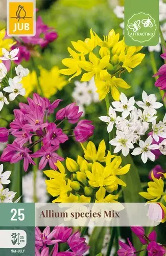 Aanrader | Alliumbollen Species Mix - 25 stuks