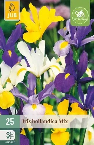 Verlaagde prijs | Iris Hollandica Mix - 25 bloembollen
