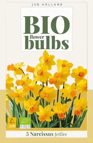 Prijs verlaagd | Biologische narcissenbollen ‘Jetfire‘ - 5 stuks