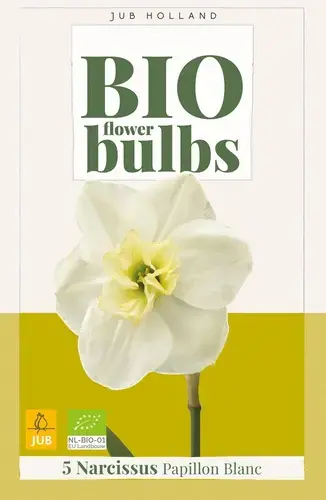 Biologische narcissenbollen ‘Papillon Blanc‘ - 5 stuks | Nieuw binnen