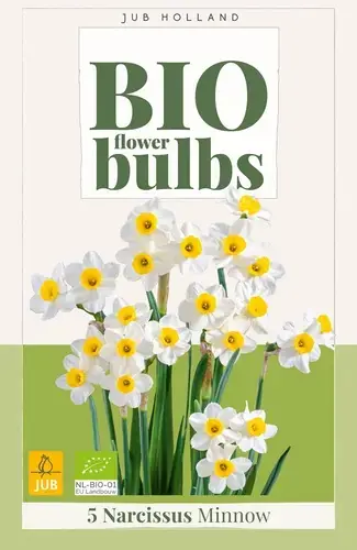 Sale - Biologische narcissenbollen ‘Minnow‘ - 5 stuks