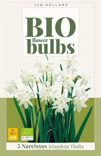 Nu beschikbaar - Biologische narcissenbollen ‘Triandrus Thalia‘ - 5 stuks