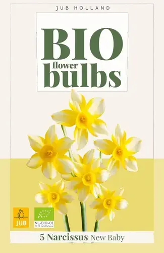 Biologische narcissenbollen ‘New Baby‘ - 5 stuks | Direct kopen