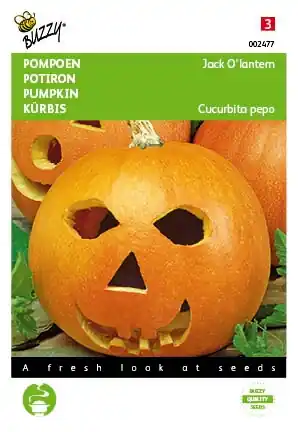 Bespaar meer - Buzzy® zaden - Pompoenen Jack O‘Lantern (Cucub.Pepo)