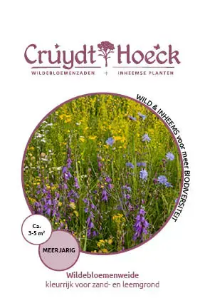 Cruydt-Hoeck Wildebloemenweide - Kleurrijk Voor Zand- En Leemgronden - Net binnen