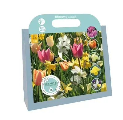 Kadoverpakking Eye-catchers Bloomy Garden - 25 bloembollen - Professionele kwaliteit