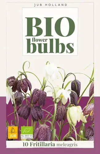 Nieuw binnen - Biologische kievitsbloemen Fritillaria meleagris - 10 stuks