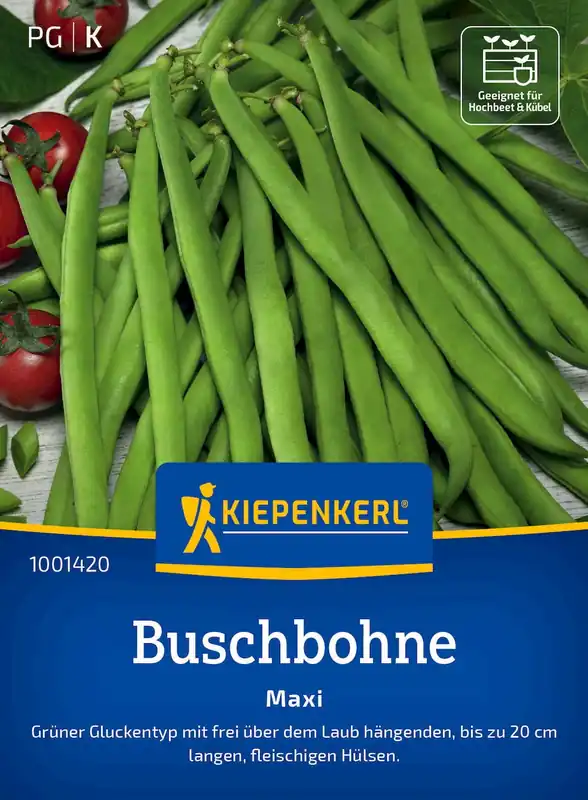 Kiepenkerl Struikbonen "Maxi" - Vanaf nu beschikbaar