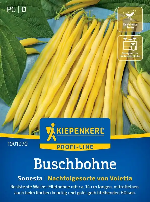 Kiepenkerl Struikbonen "Voletta" | Favoriet van klanten