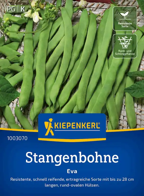 Kiepenkerl Stamboom “Eva” | Bijna uitverkocht
