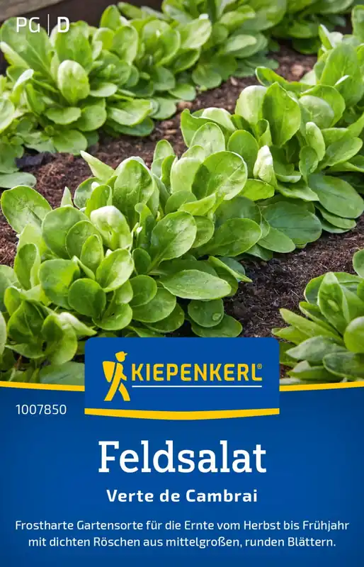 Kiepenkerl Veldsla "Verte de Cambrai" - Net binnen