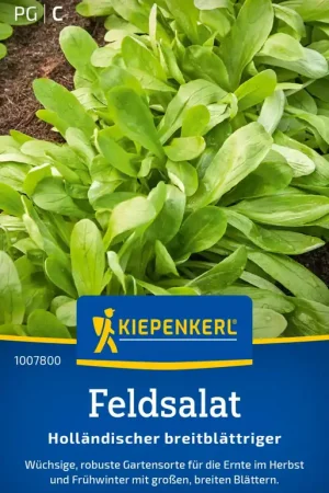 Fabrieksprijs - Kiepenkerl Veldsla "Holländischer Breitblättriger"