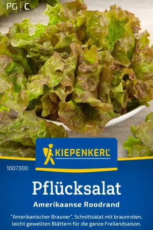 Snelle levering | Kiepenkerl Pluksla "Amerikaanse Roodrand"