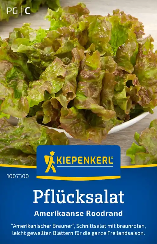 Snelle levering | Kiepenkerl Pluksla "Amerikaanse Roodrand"
