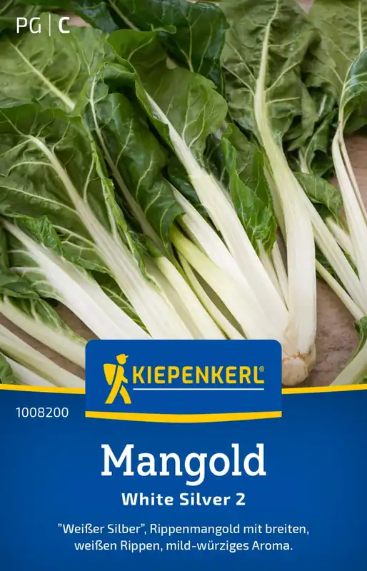 Kiepenkerl Snijbiet "White Silver 2" - Bestelbaar