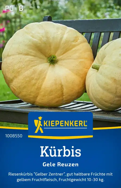 Koop vandaag - Kiepenkerl Pompoen "Gele Reuzen"