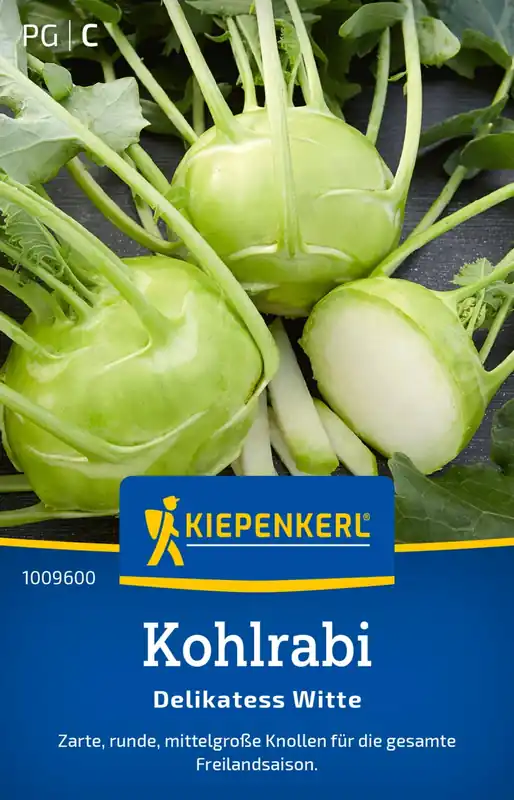 Kiepenkerl Koolrabi "Delikatess Witte" - Direct kopen